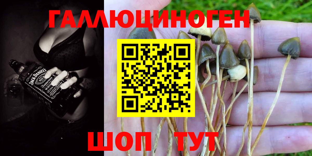 Галлюциногенные грибы мицелий Лабинск