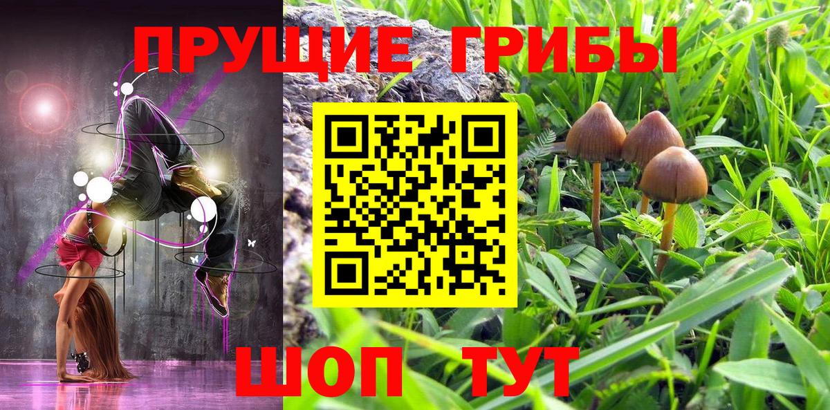 Лабинск  Псилоцибиновые грибы GOLDEN TEACHER  Псилоцибиновые грибы Magic Shrooms  Вход с VPN 